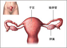 ݔ�ѹܲ��аY�Ŀ���---����cook��(d��o)�z��ͨ�g(sh��)